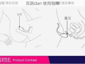 双跳dan 使用指南