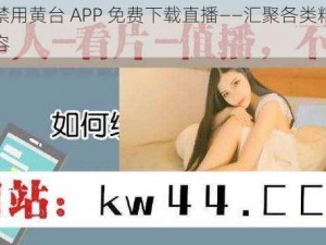 十大禁用黄台 APP 免费下载直播——汇聚各类精彩直播内容