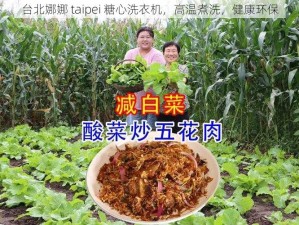 台北娜娜 taipei 糖心洗衣机，高温煮洗，健康环保