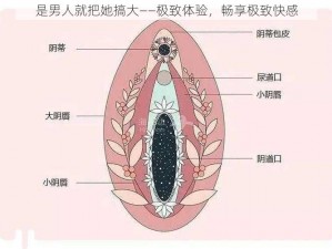 是男人就把她搞大——极致体验，畅享极致快感