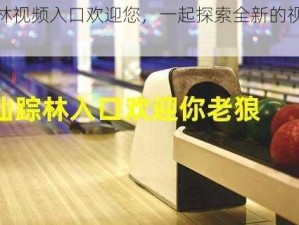 仙踪林视频入口欢迎您，一起探索全新的视频世界