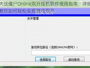 植物大战僵尸Online双开挂机软件使用指南：详细图文教程教你如何轻松实现游戏双开