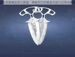 蓝色武器嗜血双匕图鉴：神秘利刃的锻造与战斗应用全解析