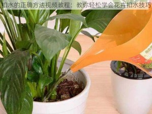 扣水的正确方法视频教程：教你轻松学会花卉扣水技巧