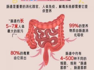 小雅大爷是在帮你排宿便、清毒素、养肠道