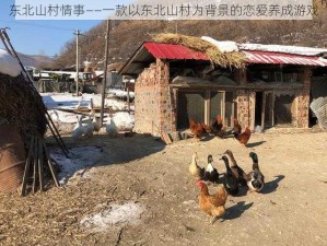 东北山村情事——一款以东北山村为背景的恋爱养成游戏