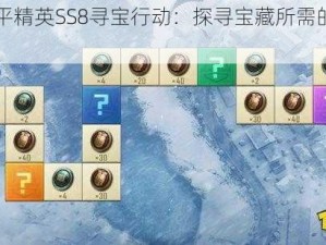 揭秘和平精英SS8寻宝行动：探寻宝藏所需的寻宝币全解析