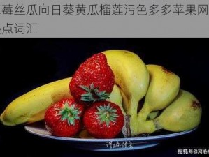 草莓丝瓜向日葵黄瓜榴莲污色多多苹果网络热点词汇