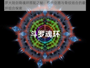 斗罗大陆剑骨魂环搭配之秘：极致剑意与骨纹结合的最强魂环组合探索