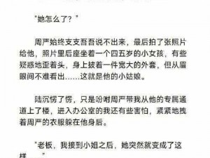 兔子的秘密花园陆沉小说阅读——免费畅读无广告