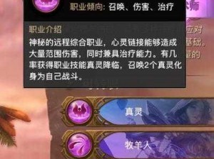 光明大陆秘术师技能搭配指南：深度解析技能选择与优化策略