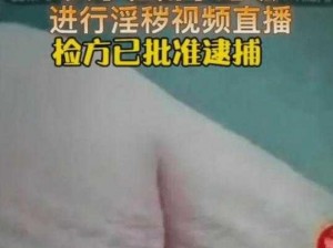 少妇直播免费视频：在线观看无需付费