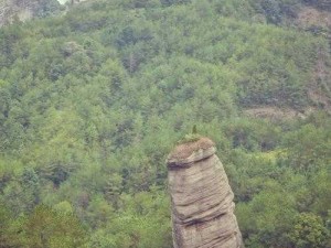 探索《育龙高手》生命之山与培育山的不同之处——一段精彩的生物养成对比之旅