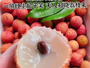 已经塞了八颗荔枝了窦寇儿：汁水四溢的美味体验