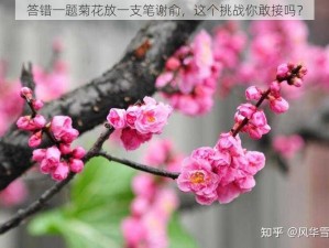 答错一题菊花放一支笔谢俞，这个挑战你敢接吗？