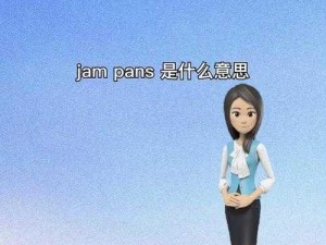 解析 JANPENSEVISA：探索未知的密码世界