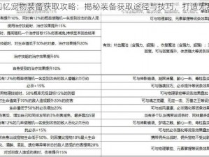 魔力宝贝回忆宠物装备获取攻略：揭秘装备获取途径与技巧，打造无敌战斗伙伴