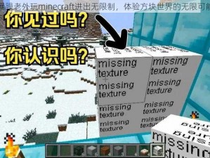 暴躁老外玩minecraft进出无限制，体验方块世界的无限可能