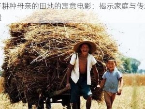 儿子耕种母亲的田地的寓意电影：揭示家庭与传承的力量