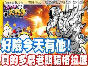 《Drone Battle：猫咪激战，这款游戏好玩吗？简介解析》