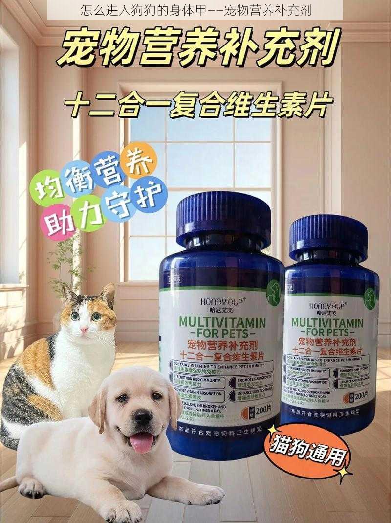 怎么进入狗狗的身体甲——宠物营养补充剂