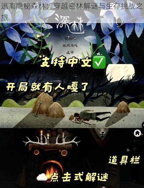 逃离隐秘森林：穿越密林解谜与生存挑战之旅