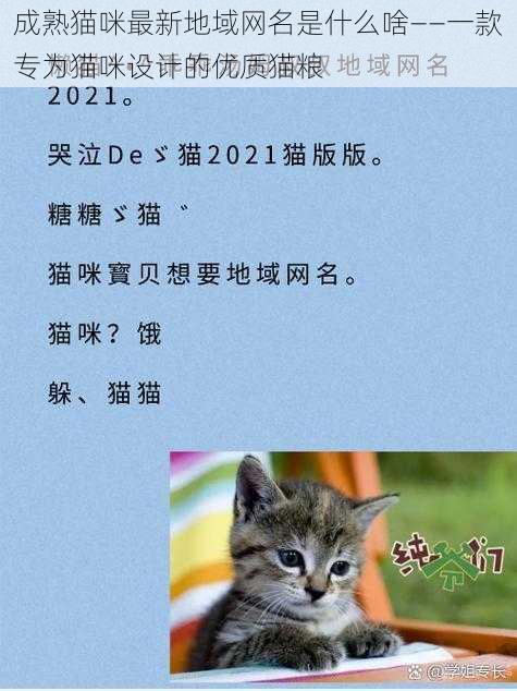 成熟猫咪最新地域网名是什么啥——一款专为猫咪设计的优质猫粮