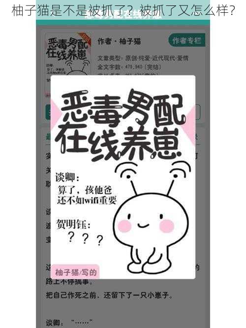 柚子猫是不是被抓了？被抓了又怎么样？