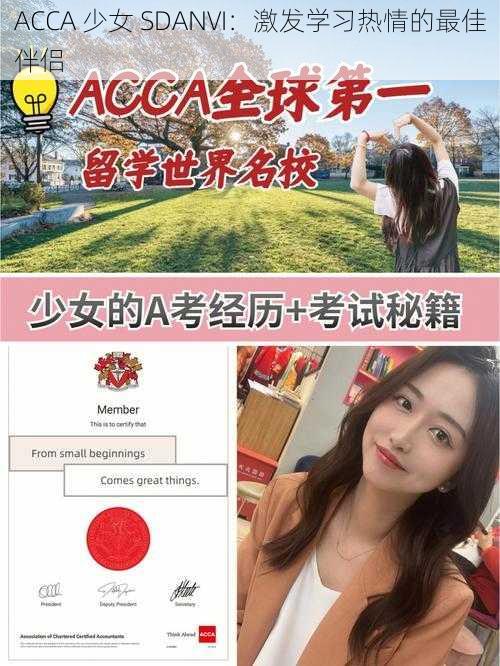 ACCA 少女 SDANVI：激发学习热情的最佳伴侣