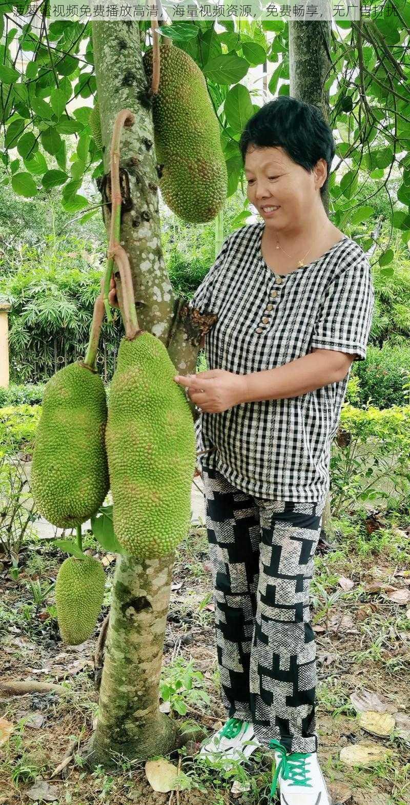 菠萝蜜视频免费播放高清，海量视频资源，免费畅享，无广告打扰