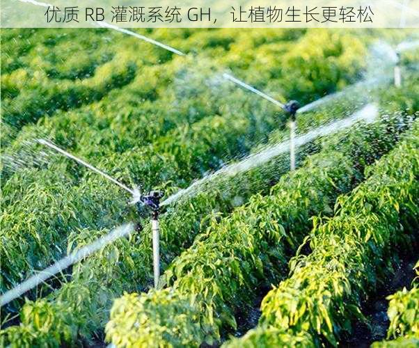 优质 RB 灌溉系统 GH，让植物生长更轻松