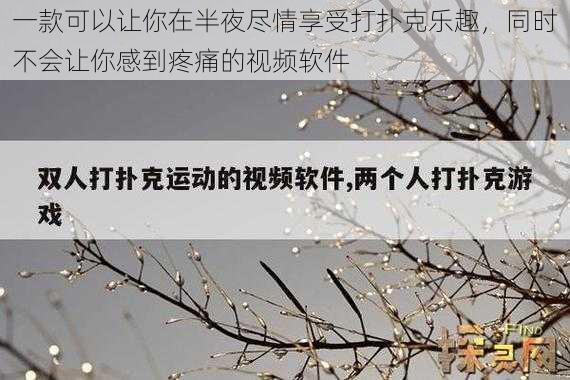 一款可以让你在半夜尽情享受打扑克乐趣，同时不会让你感到疼痛的视频软件