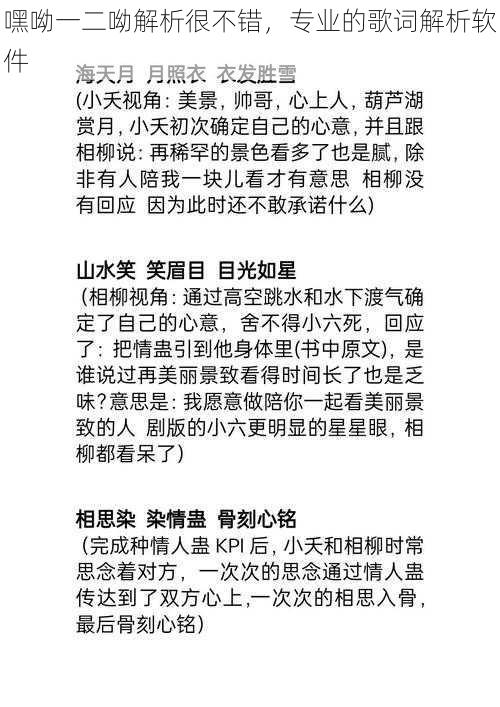 嘿呦一二呦解析很不错，专业的歌词解析软件