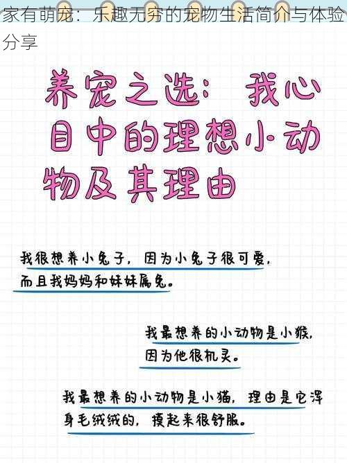 家有萌宠：乐趣无穷的宠物生活简介与体验分享