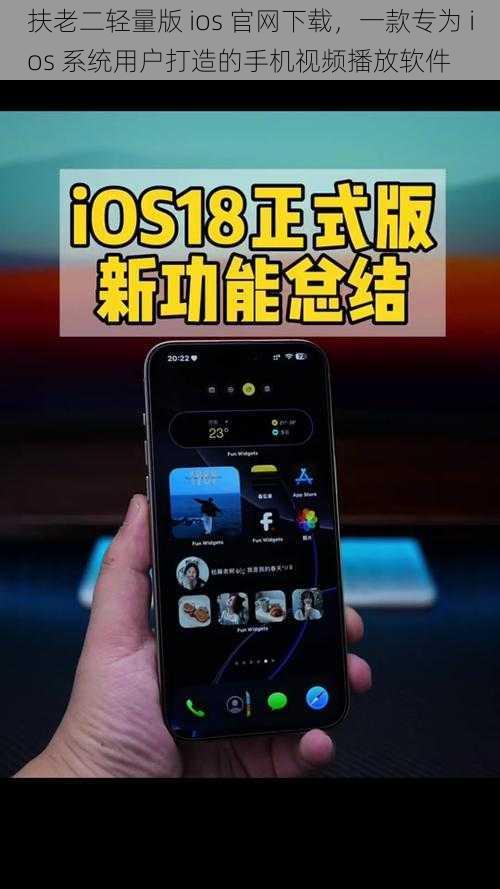 扶老二轻量版 ios 官网下载，一款专为 ios 系统用户打造的手机视频播放软件