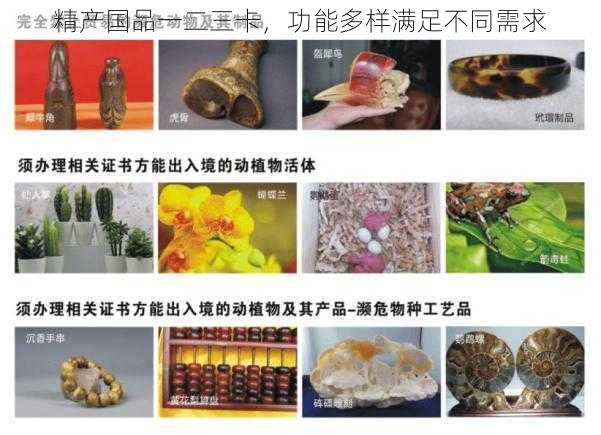 精产国品一二三卡，功能多样满足不同需求