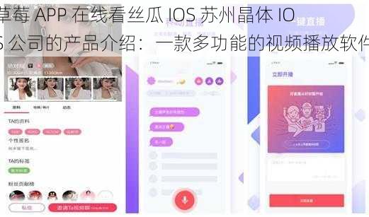 草莓 APP 在线看丝瓜 IOS 苏州晶体 IOS 公司的产品介绍：一款多功能的视频播放软件