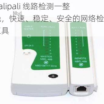 palipali 线路检测一整晚，快速、稳定、安全的网络检测工具