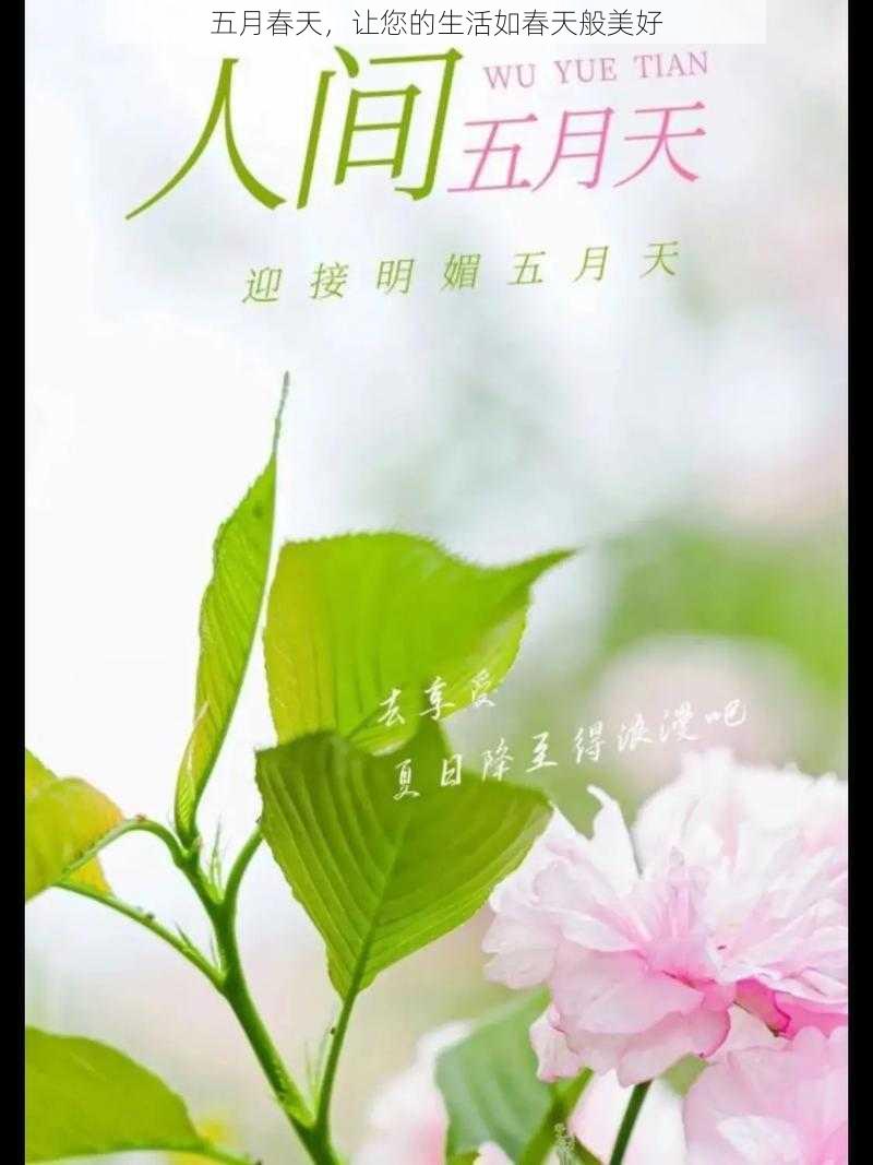 五月春天，让您的生活如春天般美好