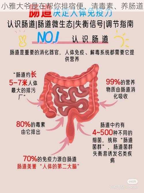 小雅大爷是在帮你排宿便、清毒素、养肠道