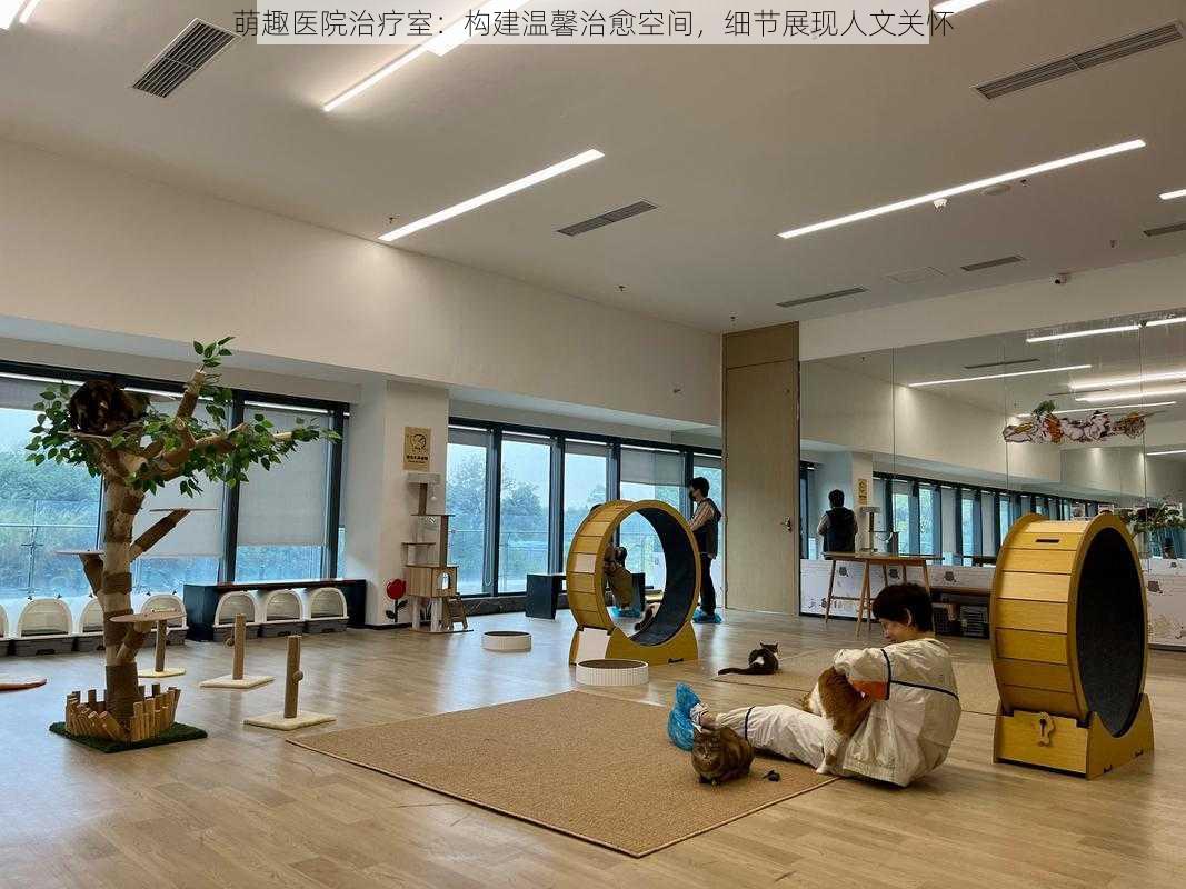 萌趣医院治疗室：构建温馨治愈空间，细节展现人文关怀