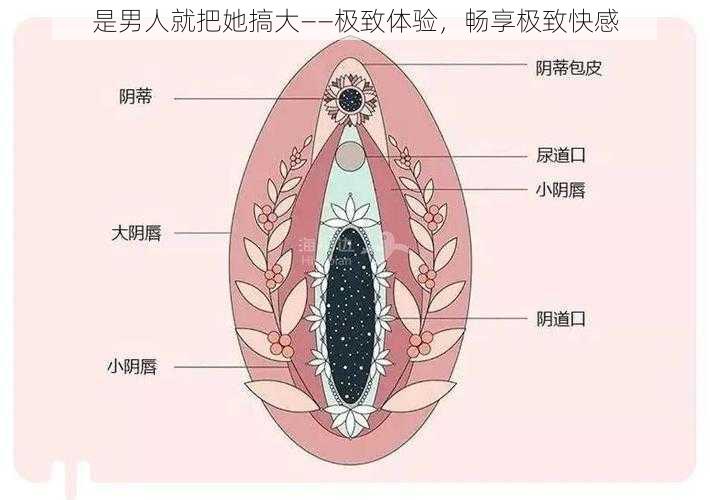 是男人就把她搞大——极致体验，畅享极致快感