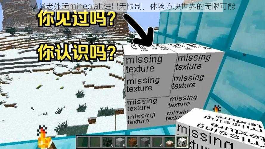 暴躁老外玩minecraft进出无限制，体验方块世界的无限可能