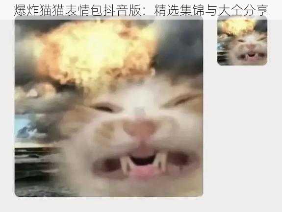 爆炸猫猫表情包抖音版：精选集锦与大全分享