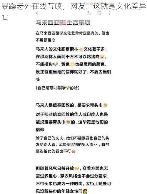 暴躁老外在线互喷，网友：这就是文化差异吗