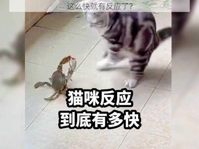 这么快就有反应了？