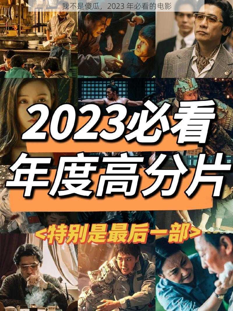 我不是傻瓜，2023 年必看的电影