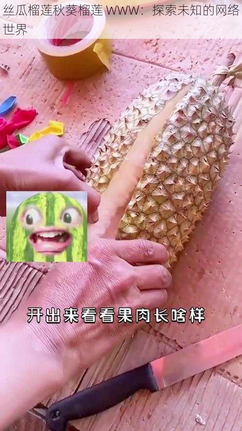 丝瓜榴莲秋葵榴莲 WWW：探索未知的网络世界