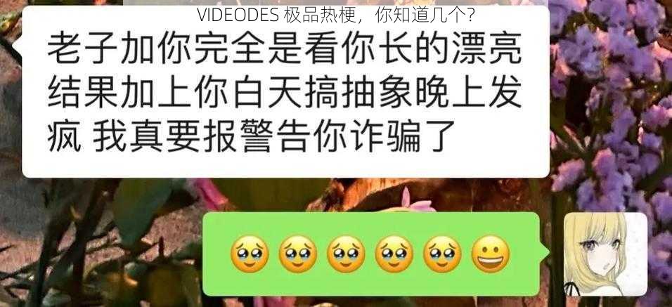 VIDEODES 极品热梗，你知道几个？