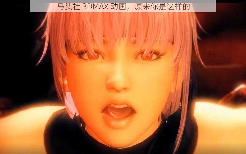 马头社 3DMAX 动画，原来你是这样的